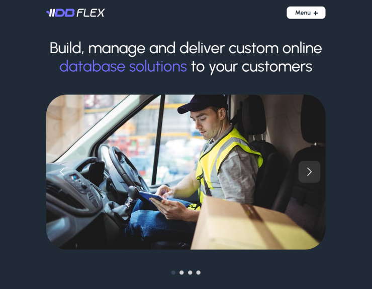 dbFLEX Image